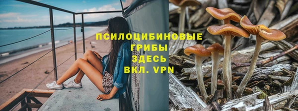 твердый Вязники