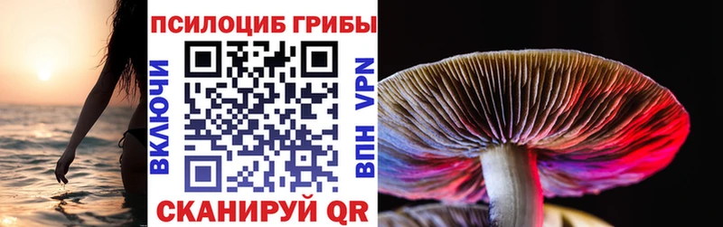 где найти   Вилюйск  Галлюциногенные грибы Magic Shrooms 
